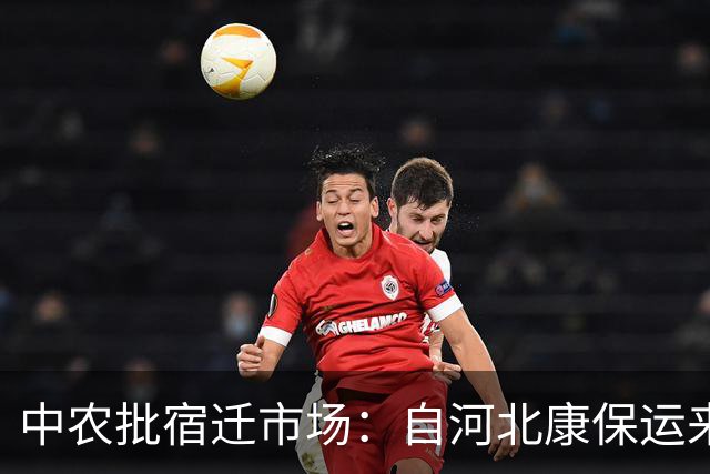 中农批宿迁市场：自河北康保运来大白菜检测结果合格，举报人未提出异议